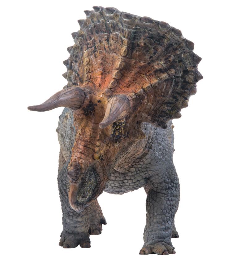 Rino Dinosaur