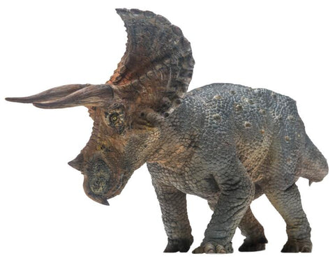 Rino Dinosaur